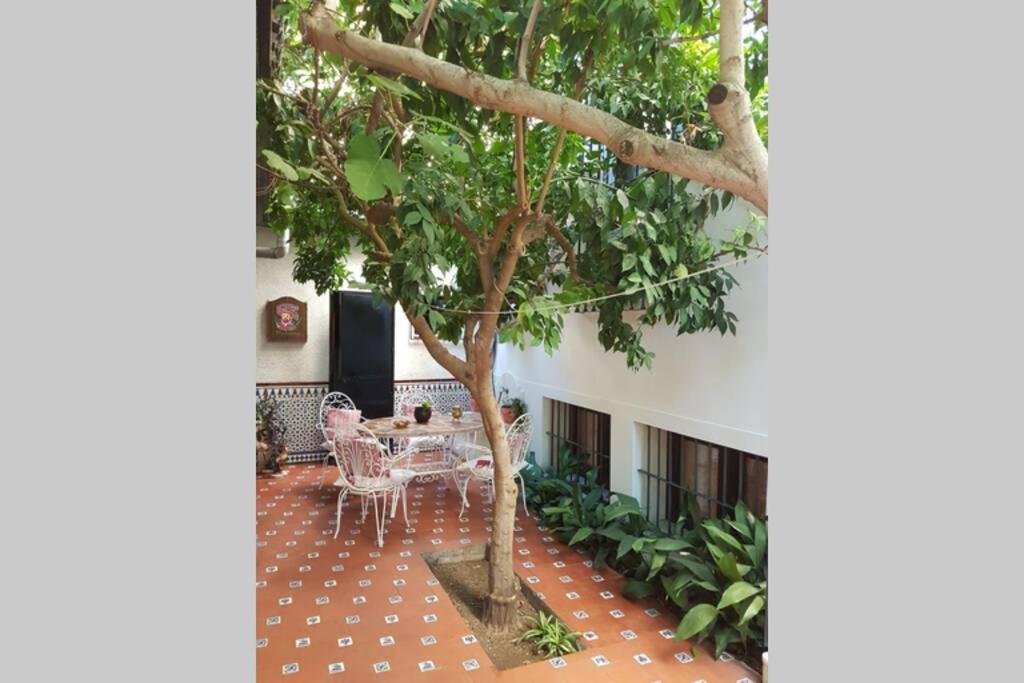 Casa En Granada Con Hermoso Jardin, Parking Calle Dış mekan fotoğraf